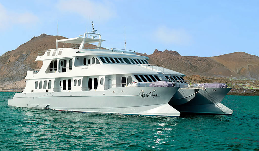 Cruise Alya Catamaran